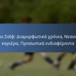 Σκοτ Άρφιλντ: Σημαντικοί αγώνες, Σημαντικές στιγμές καριέρας, Βραβεία