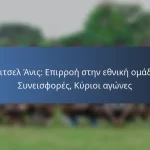 Μιχαήλ Πετράσσο: Διεθνείς συνεισφορές, Κύριες επιδόσεις, Κληρονομιά